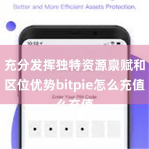 充分发挥独特资源禀赋和区位优势bitpie怎么充值