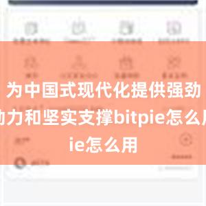 为中国式现代化提供强劲动力和坚实支撑bitpie怎么用