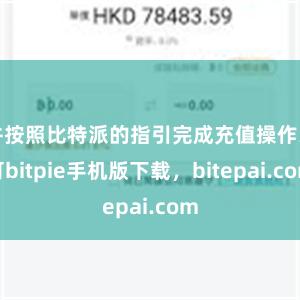 并按照比特派的指引完成充值操作即可bitpie手机版下载，bitepai.com